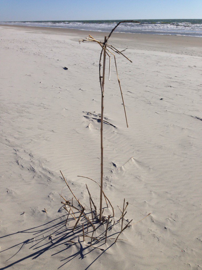 onlyhereonlynow's tweet image. Altar