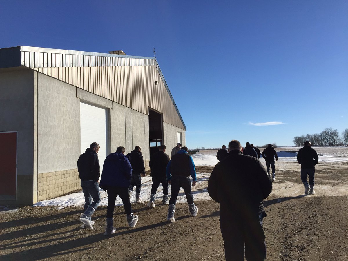 JosephHoltmann's tweet photo. Had a great time touring some top notch dairies and getting to be a part of the Face Off against CF Gala. Thanks @AltaGenetics @dhipkin https://t.co/JAdFVuBLA2