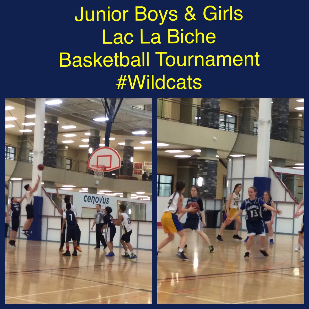 Good luck to our teams today. #Wildcats.