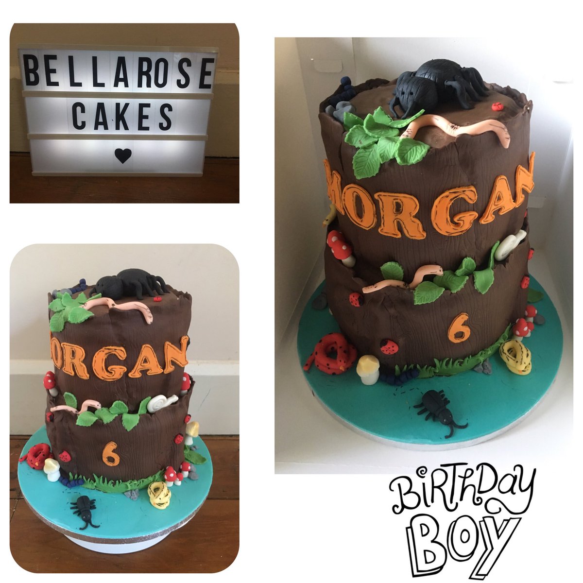 BellaRose Cakes tweet media