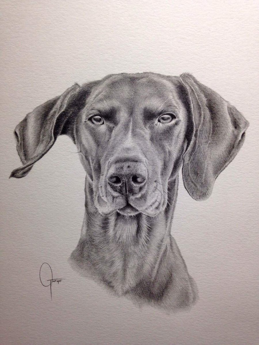 BrackenDogModel's tweet image. So pleased with our sketch of B by talented local artist #gavinwright