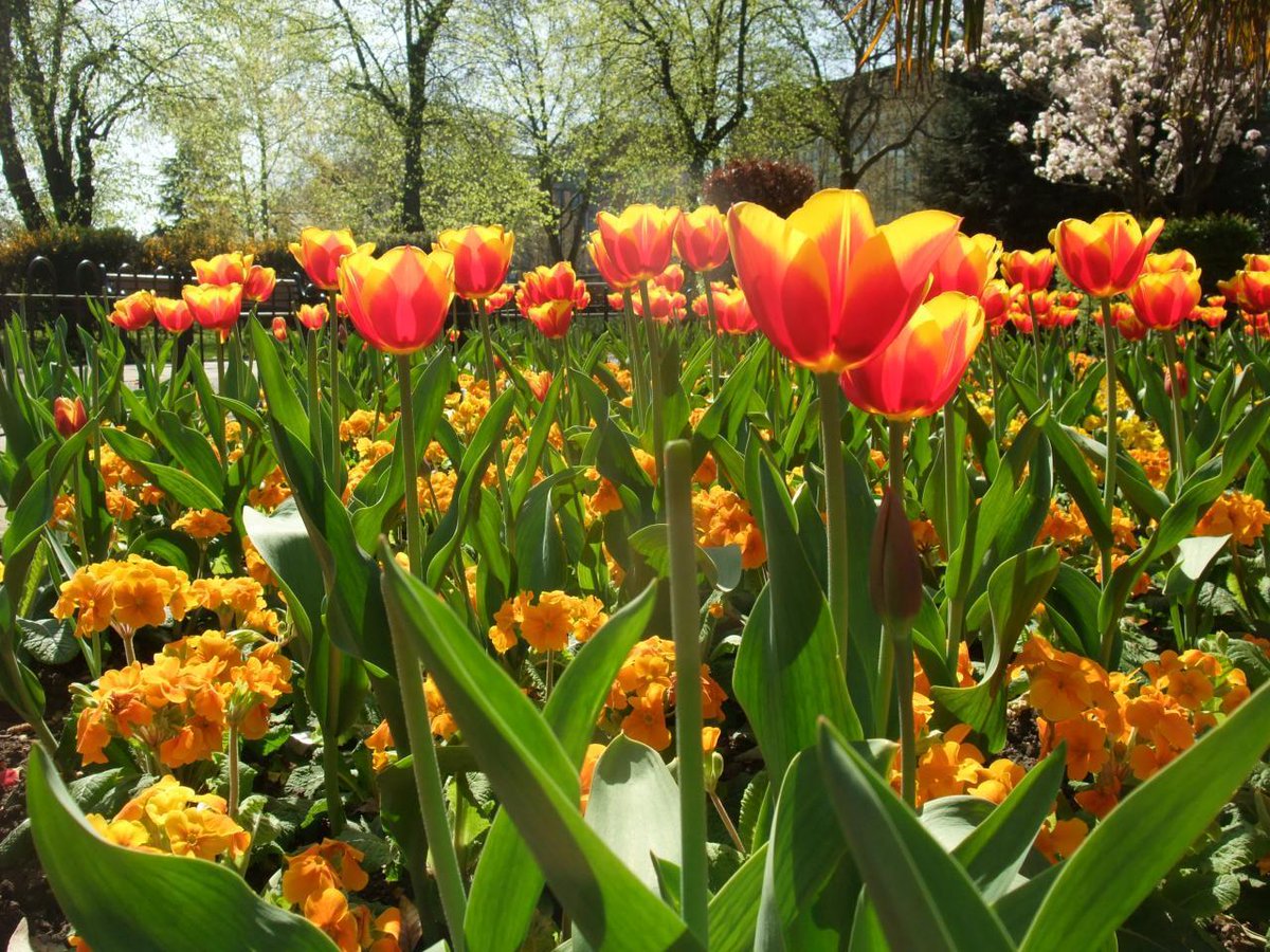 Spring events in London crwd.fr/2lZPdIM