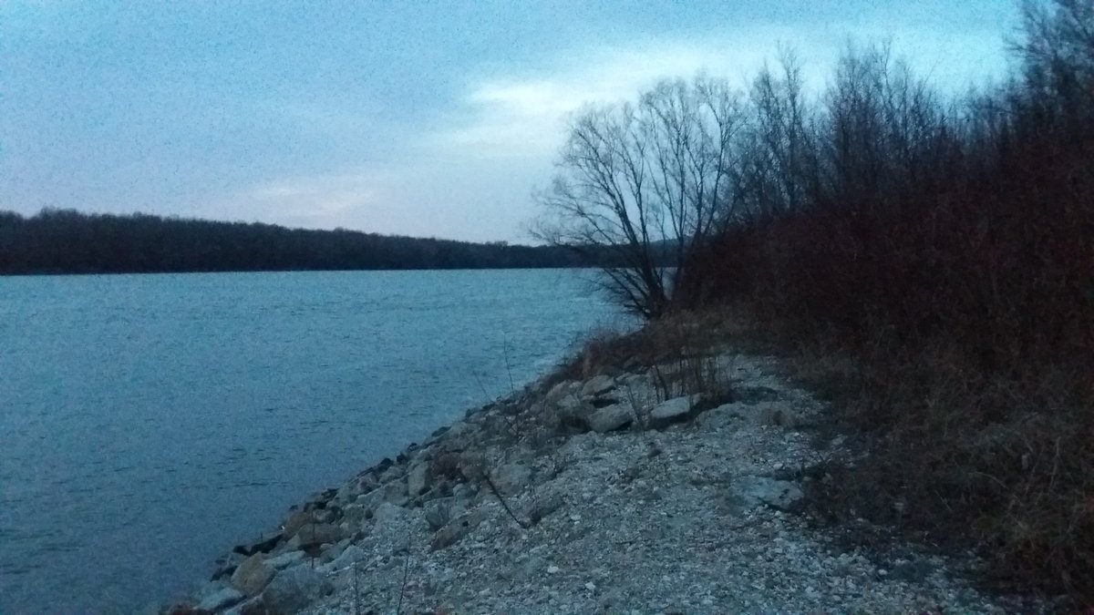 InternationaBA's tweet image. Nice evening at the Danube river