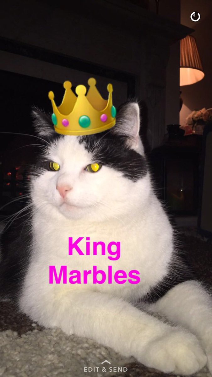 MarblesC's tweet photo. From this day forward I will be known only as King Marbles. https://t.co/cDww9pMimA