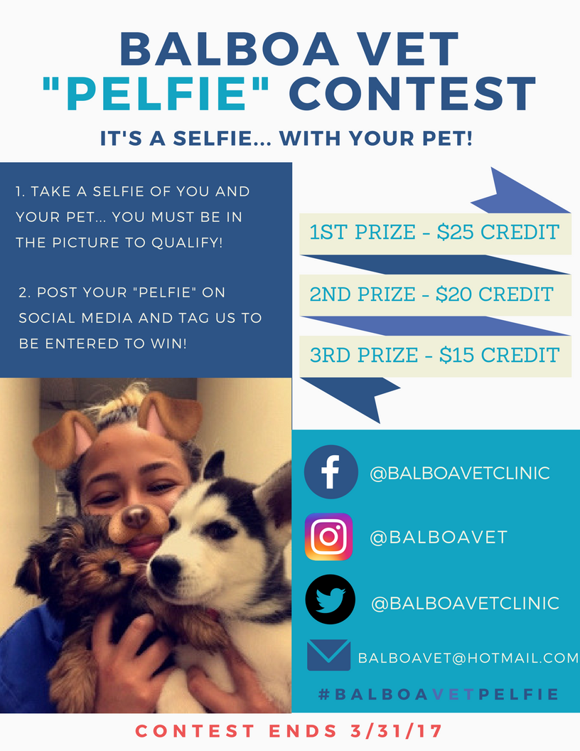Balboa Veterinary (@BalboaVetClinic) / Twitter