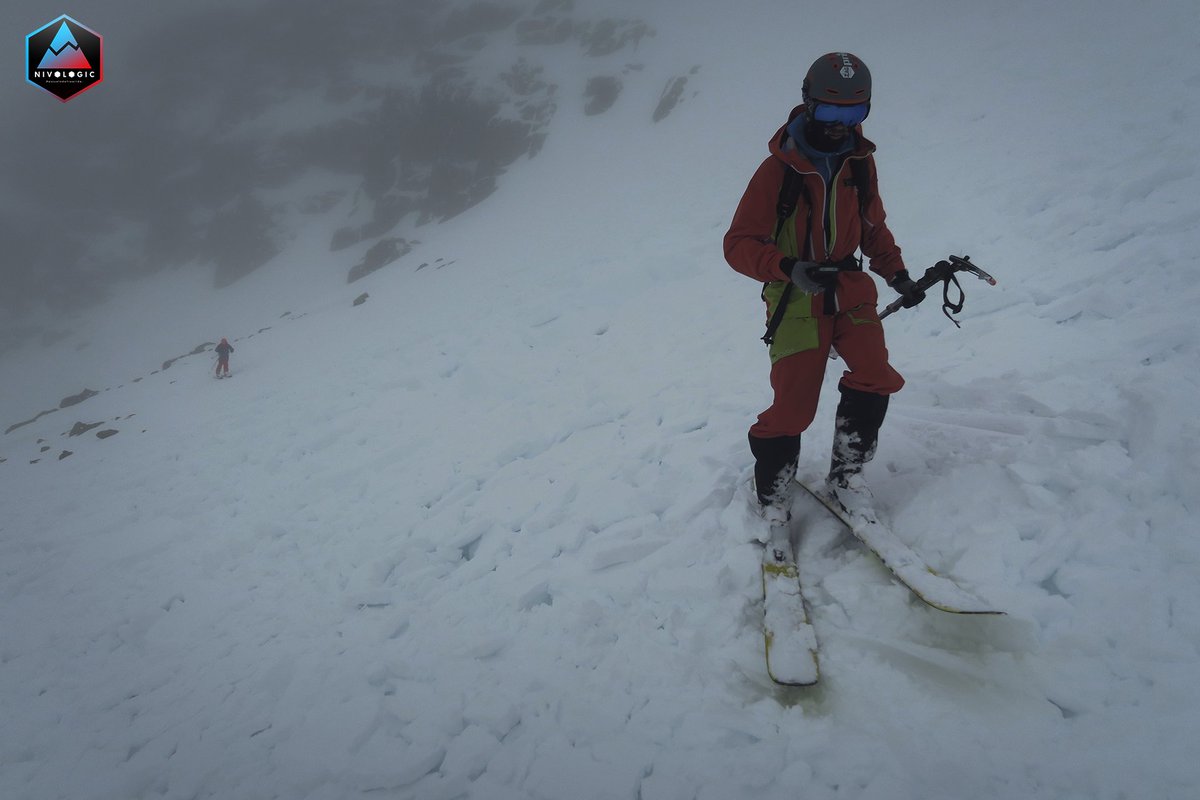 Nivologic tweet media