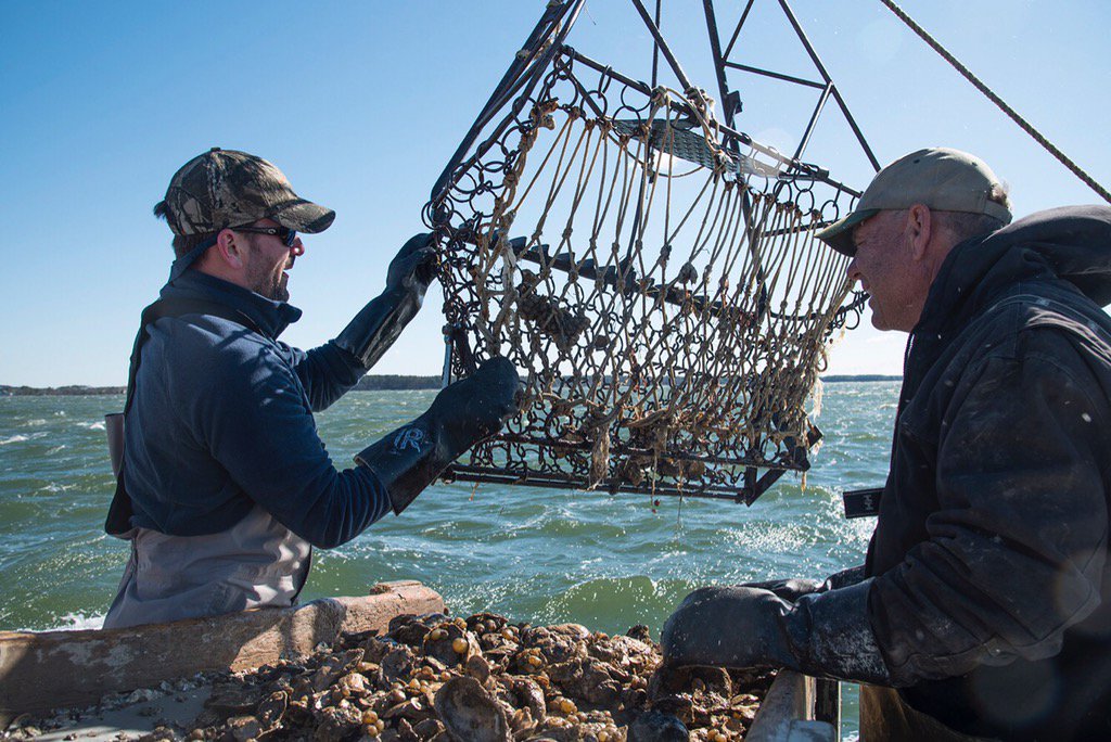 Fun on the water with <a href="/Chefkylebailey/">Kyle Bailey</a> and the crew from <a href="/sixthengine/">Sixth Engine</a> learning about Chesapeake Bay oyster industry