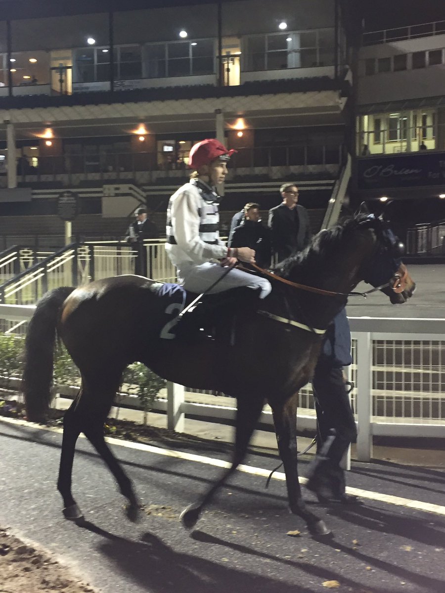 Newcastle Racecourse tweet media