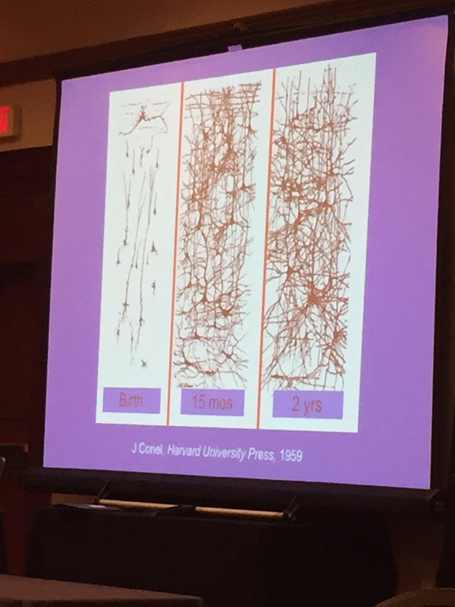 IntervenerJG's tweet photo. Love grows brains. #TXDBsympo https://t.co/pROLDCCdFl