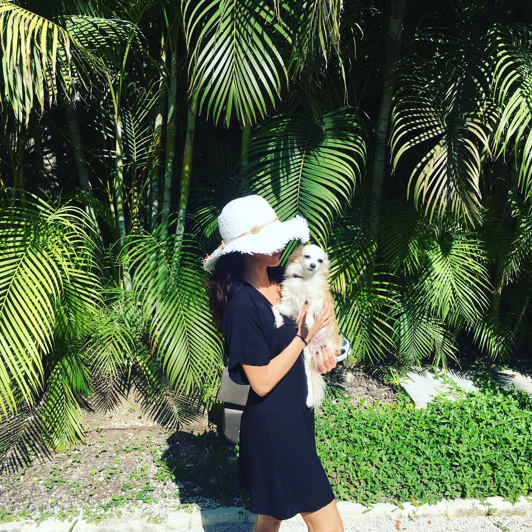 Had 10 wonderful days in Mexico. Now about time to get back to freezing Norway 🇳🇴 https://t.co/10lRoXTi8R