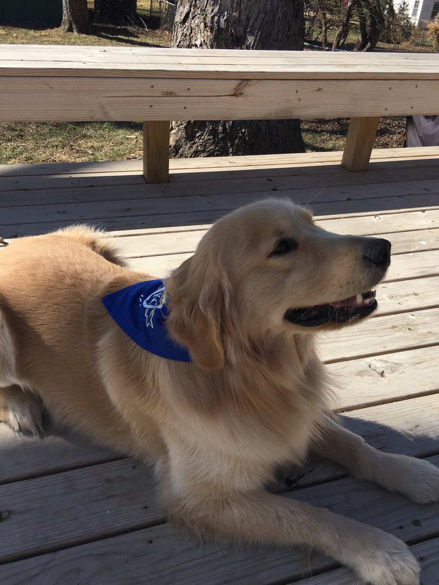 casskempf's tweet photo. Enjoying the weather. #royals https://t.co/hF44g7SIVs