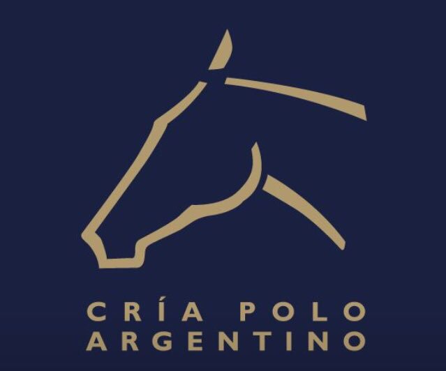 PoloArgentinotw's tweet photo. El lunes 6/3 se va a jugar la final de la #CopaBelgrano y la #AACCP va a entregar manta al #MejorEjemplar https://t.co/AQY45LOXWb