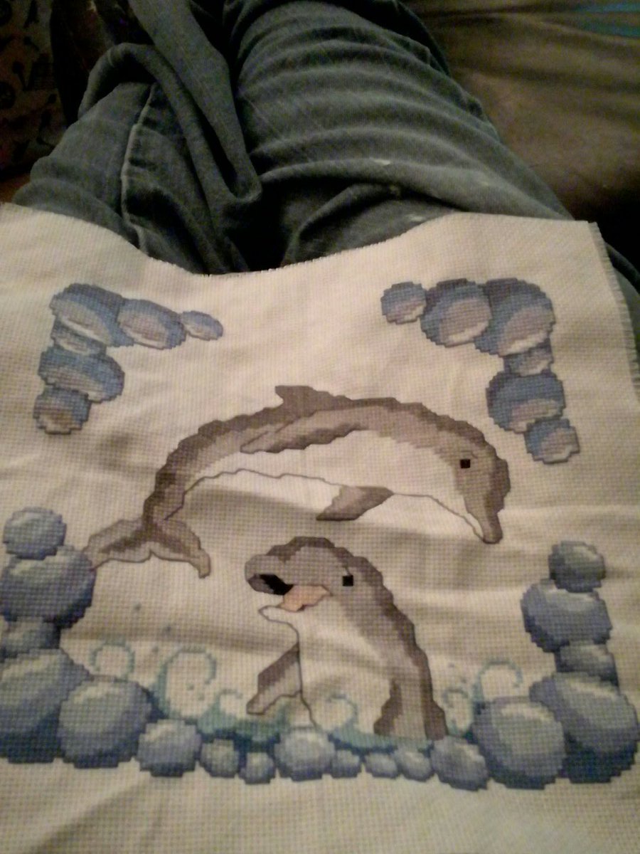 HJThomas87's tweet photo. Finally finished this. On to the next project. #crossstitch #dolphins #wildsaturdaynight https://t.co/sri59uq3KJ