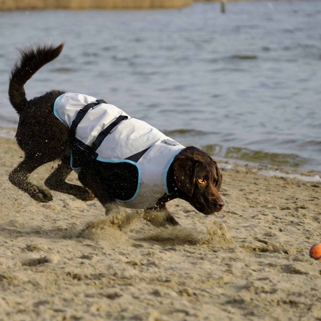 A cooling vest with no gels, freezer packs or wet dog. <a href="/suitical/">Suitical</a> the only one. Only 6 days left for 25% discount at bit.ly/2lqQk5e