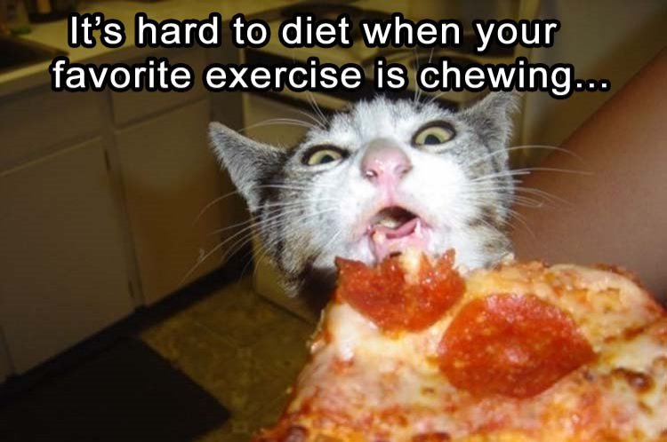 iam_neomi's tweet photo. And you can eat the whole pizza. https://t.co/bYCmcZ7oXm