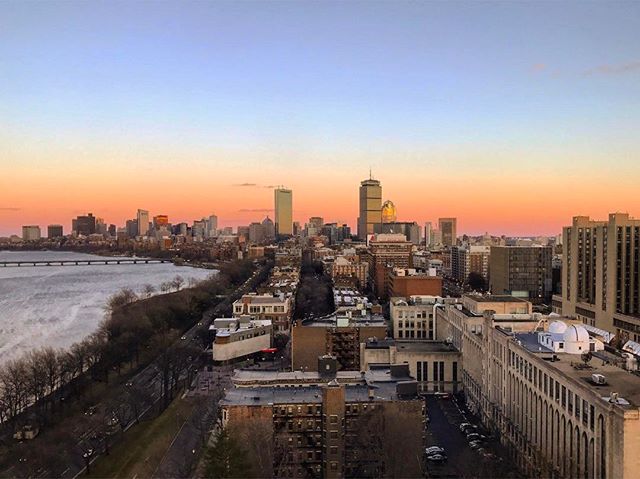 BU_Tweets's tweet photo. It looks like spring is in the air in #Boston! Check out some of our favorite photos from this week: https://t.co/acXGgQMZOm https://t.co/WKhyTSoPjy