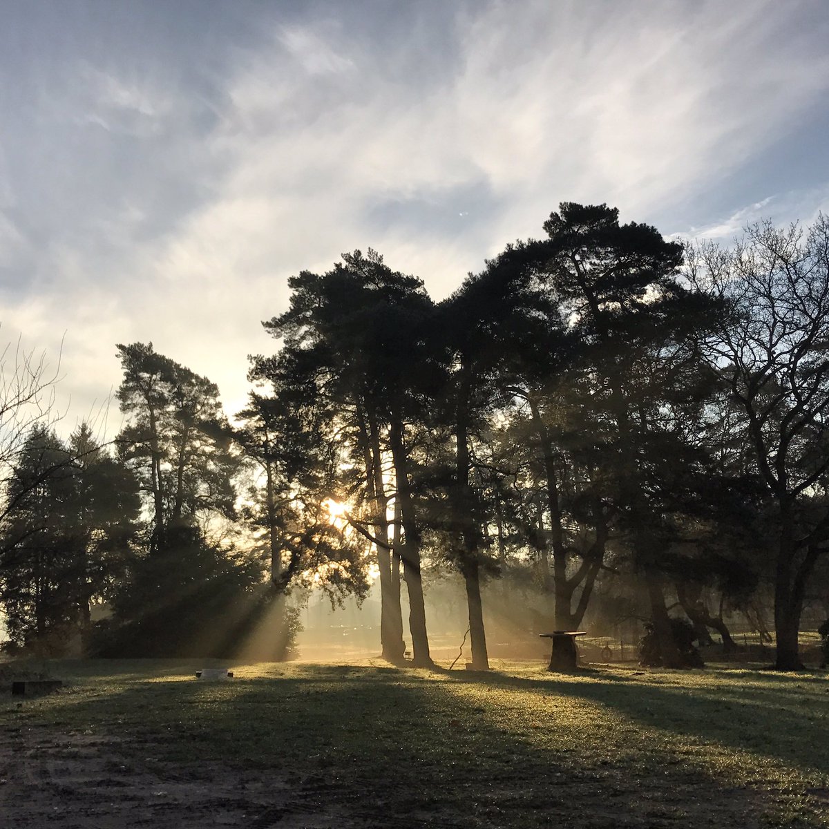 wildernessweds's tweet photo. #glamping in #norfolk in February is still pretty special. #minibreak #shepherdshut #forestbathing #visitnorfolk #boutiquecamping #escape https://t.co/MNFR8eQKmx