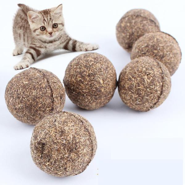 NoraBeeBee's tweet photo. #cattoys #cats #petowner #pets #petshop #cattoy #cat #foryourcat #yourcat #lovecats #welovecats https://t.co/ycWJ5xT0ZS https://t.co/PsTD3p4CXg