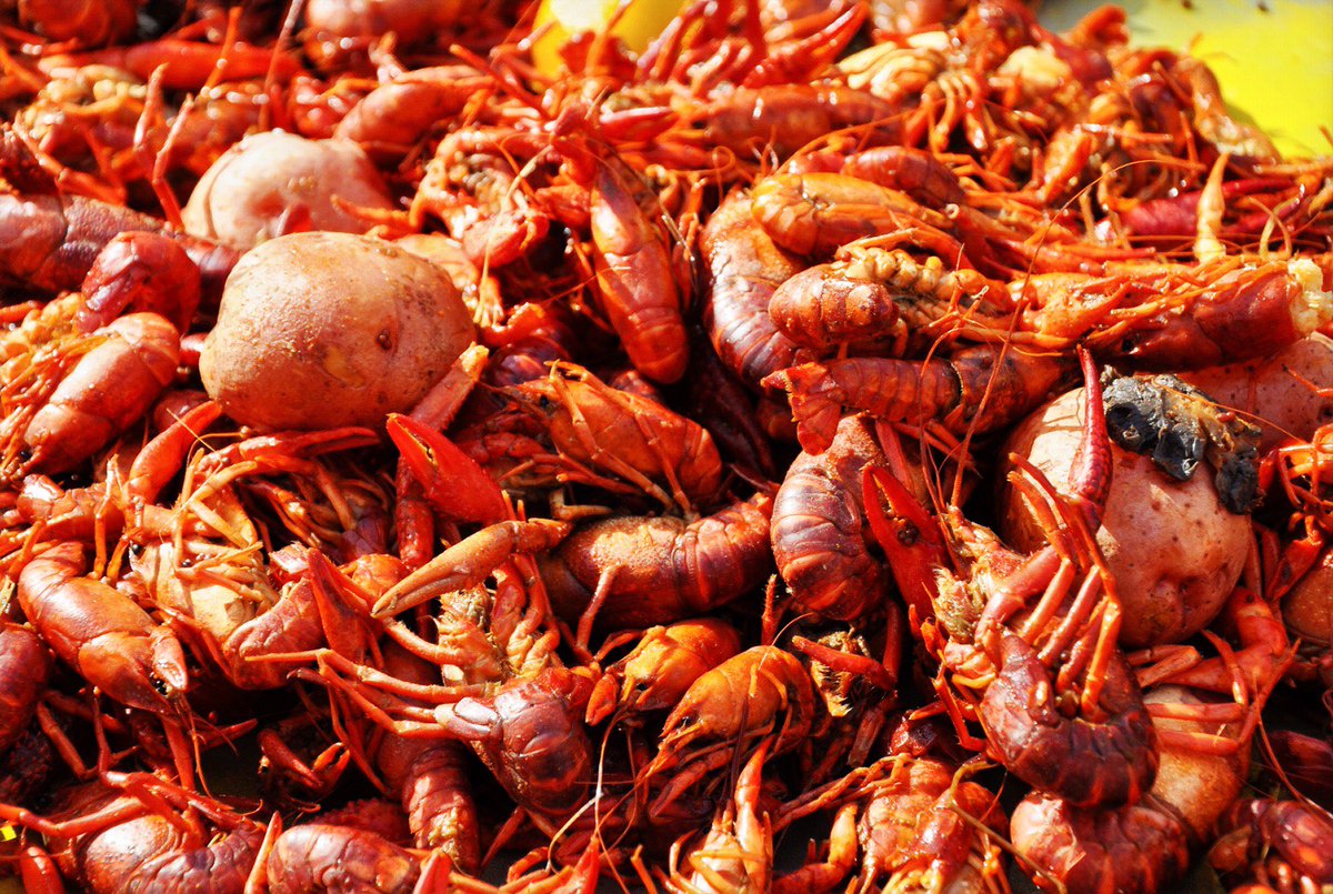 DavidMora's tweet photo. First boil of the season. Happy Saturday, y'all! ⚜️🦐🍴 #boilseason #crawfishtime #followyournola https://t.co/QPMdRgxFoe