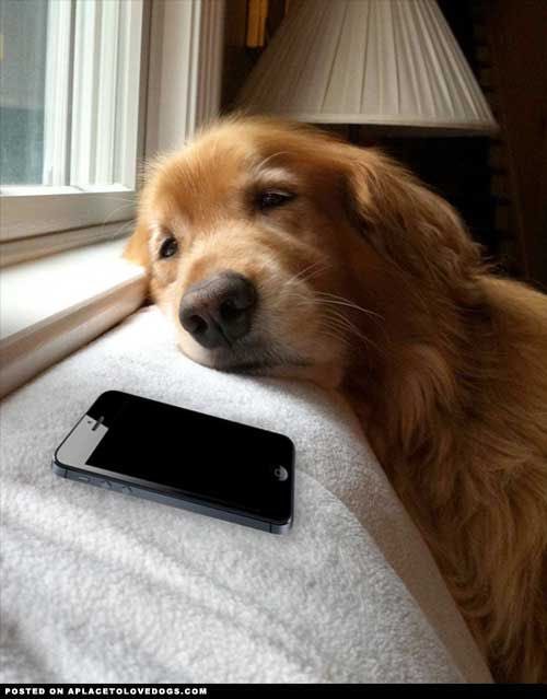 Grain Craft Bar + Kitchen tweet media