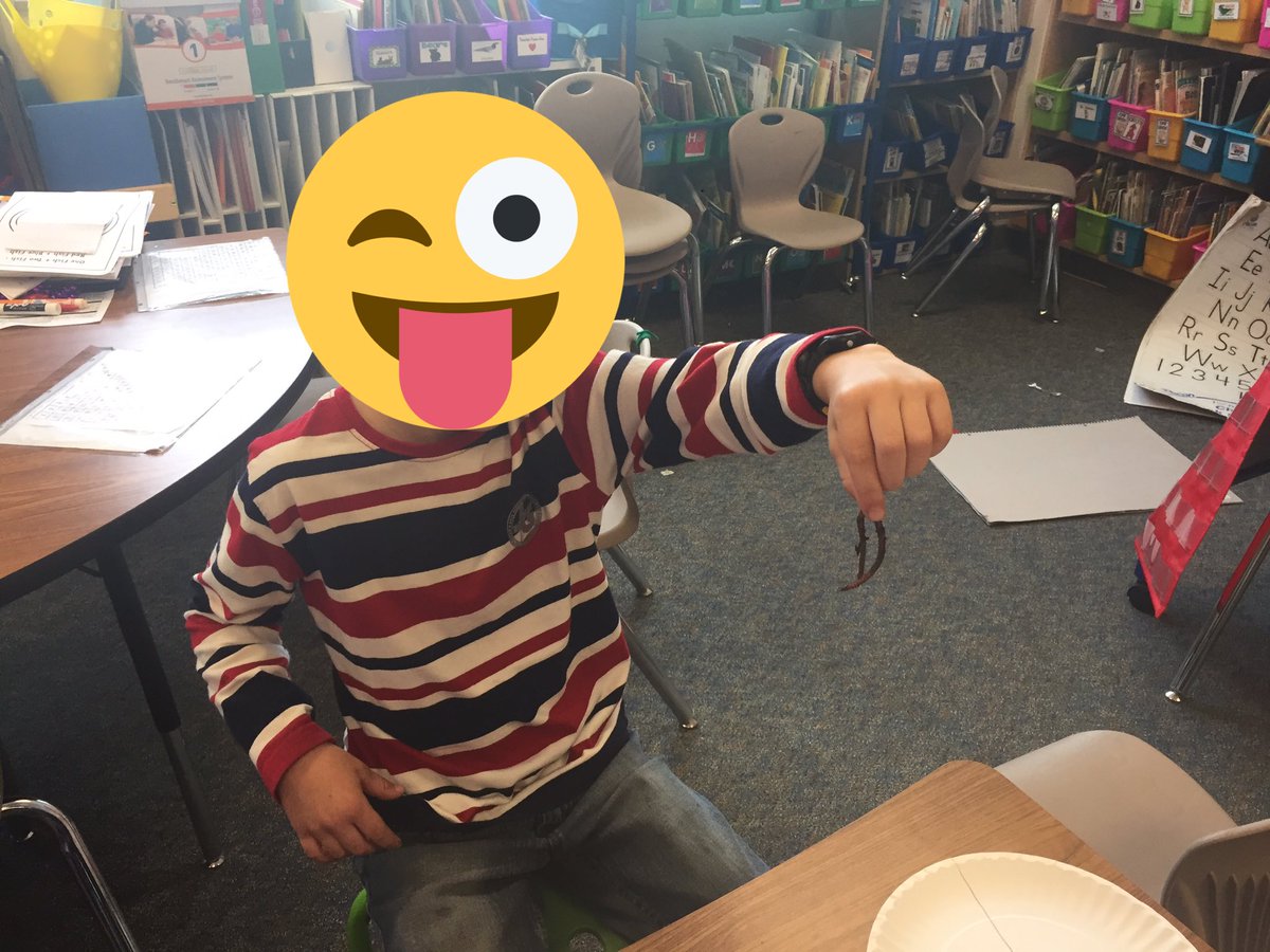 jenna__hill's tweet photo. Using real worms and gummy worms to discuss living and non-living things! #wormsandgummyworms #gottolovescience @WEinKaty https://t.co/jt02anordc