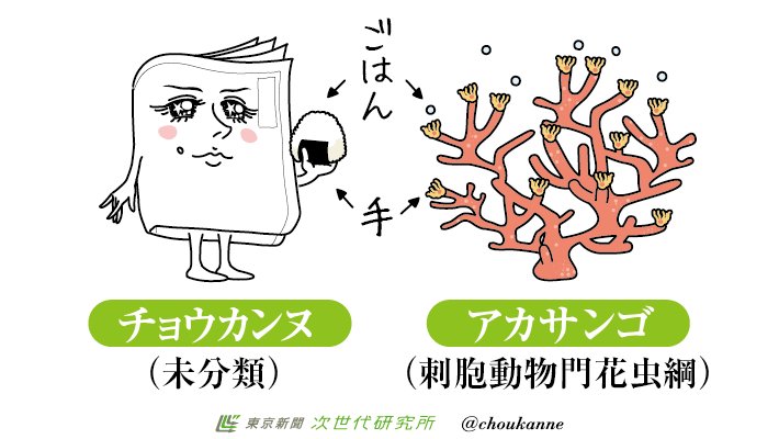 東京新聞ノコト 皆さま おはようございます 今日は3と5でサンゴの日 サンゴは植物のように見えて 動物なの 毒針でプランクトンを捕まえて食べたり 排泄や産卵もするんですって 神秘的ね T Co Wffjzs6ode Twitter