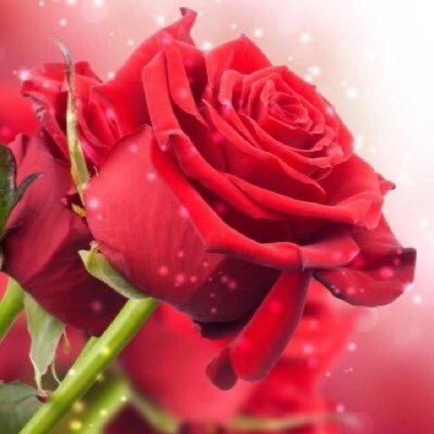 Sylvia (@eoff_sylvia) on Twitter photo @CristinPereyra <a href="/ArturTRibeiro/">.</a> <a href="/zerok_z/">Asi ♡</a> @CarmoJJAbrams <a href="/zehra_lkaya/">Zehra Kızılkaya</a> @KaroKawane <a href="/Estrella51Ahora/">♡☆My Star☆♡</a> <a href="/belausteguigoi1/">A Belausteguigoitia</a> @CristinPereyra <a href="/ArturTRibeiro/">.</a> <a href="/zerok_z/">Asi ♡</a> @CarmoJJAbrams <a href="/zehra_lkaya/">Zehra Kızılkaya</a> @KaroKawane <a href="/Estrella51Ahora/">♡☆My Star☆♡</a> <a href="/belausteguigoi1/">A Belausteguigoitia</a>