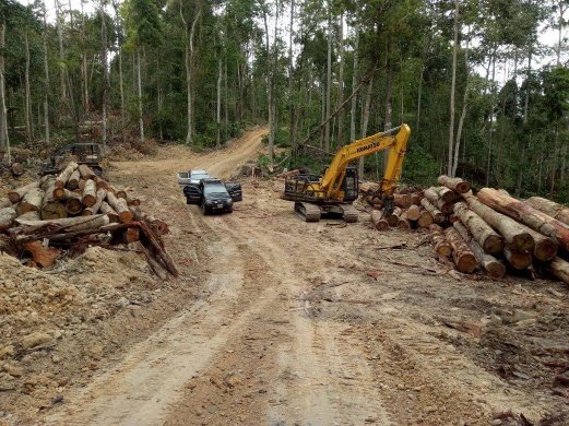 Media Selangor on Twitter: "2,500 balak disita di Kedah, syarikat ...