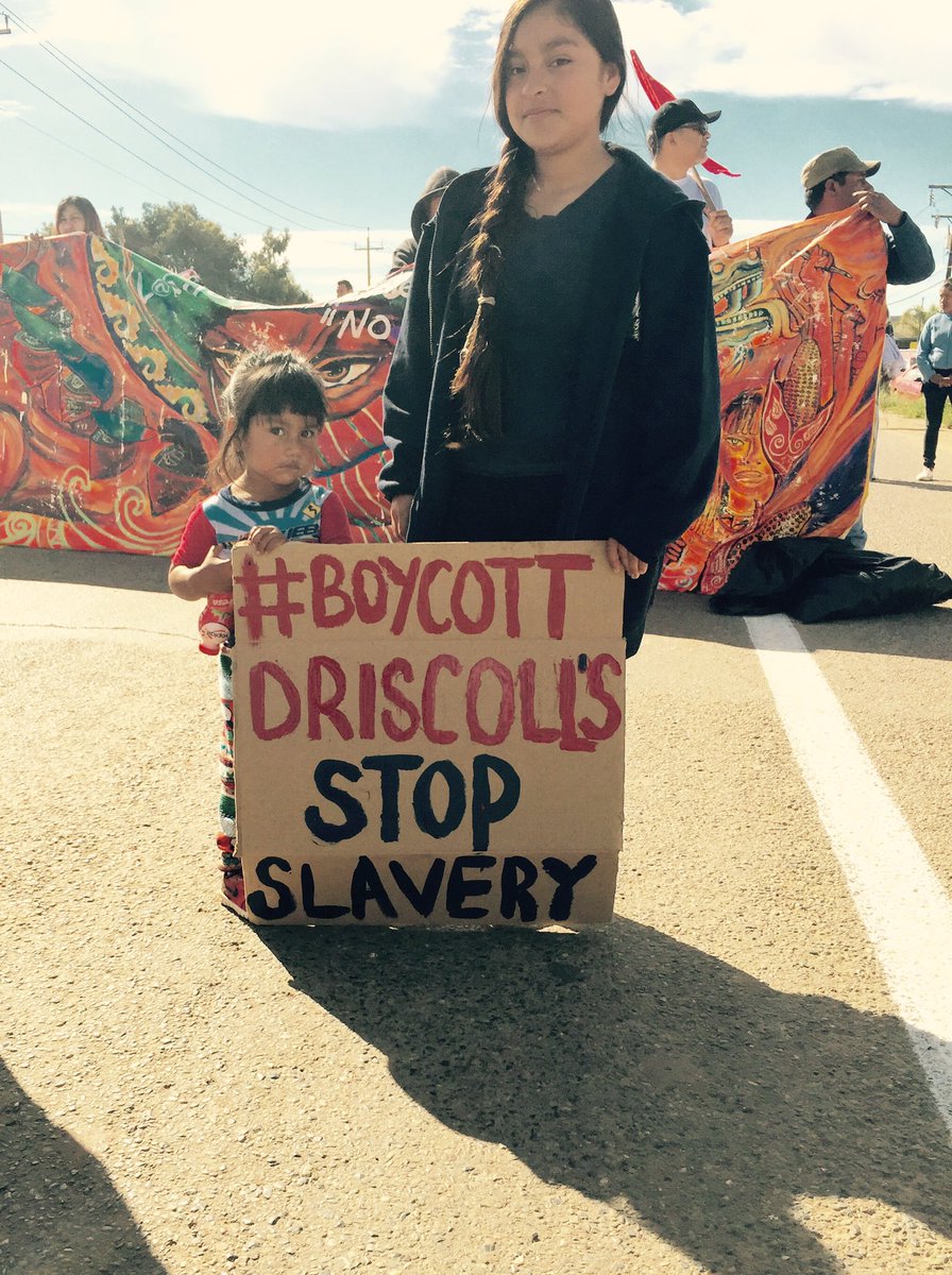 gracida777's tweet photo. National Caravan for #BoycottDriscolls union contract SINDJA  @mapinduzi21k @DuelesMexico  @USDAFoodSafe_es @foodchainworker https://t.co/SUxclnq4va