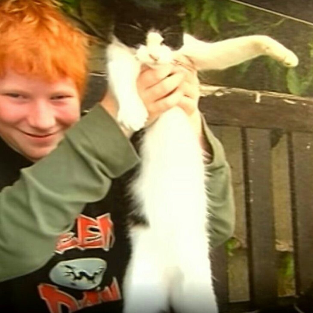sheerios_py's tweet photo. Éstas son algunas de las fotos que mostró en su entrevista la abuela de Ed, Nancy para quién fue la canción Nancy Mulligan.
#SheeriosPy https://t.co/jYxNiQ9M0j