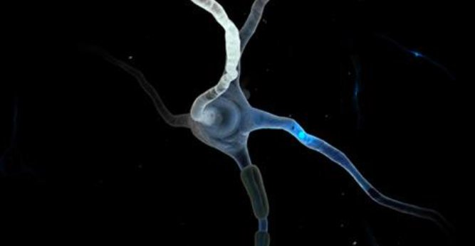 ScienceChannel's tweet photo. Déjà vu occurs when the front of our brains actively look for inconsistencies in memories. https://t.co/0UJkXFAzwo https://t.co/IbldUETtX5