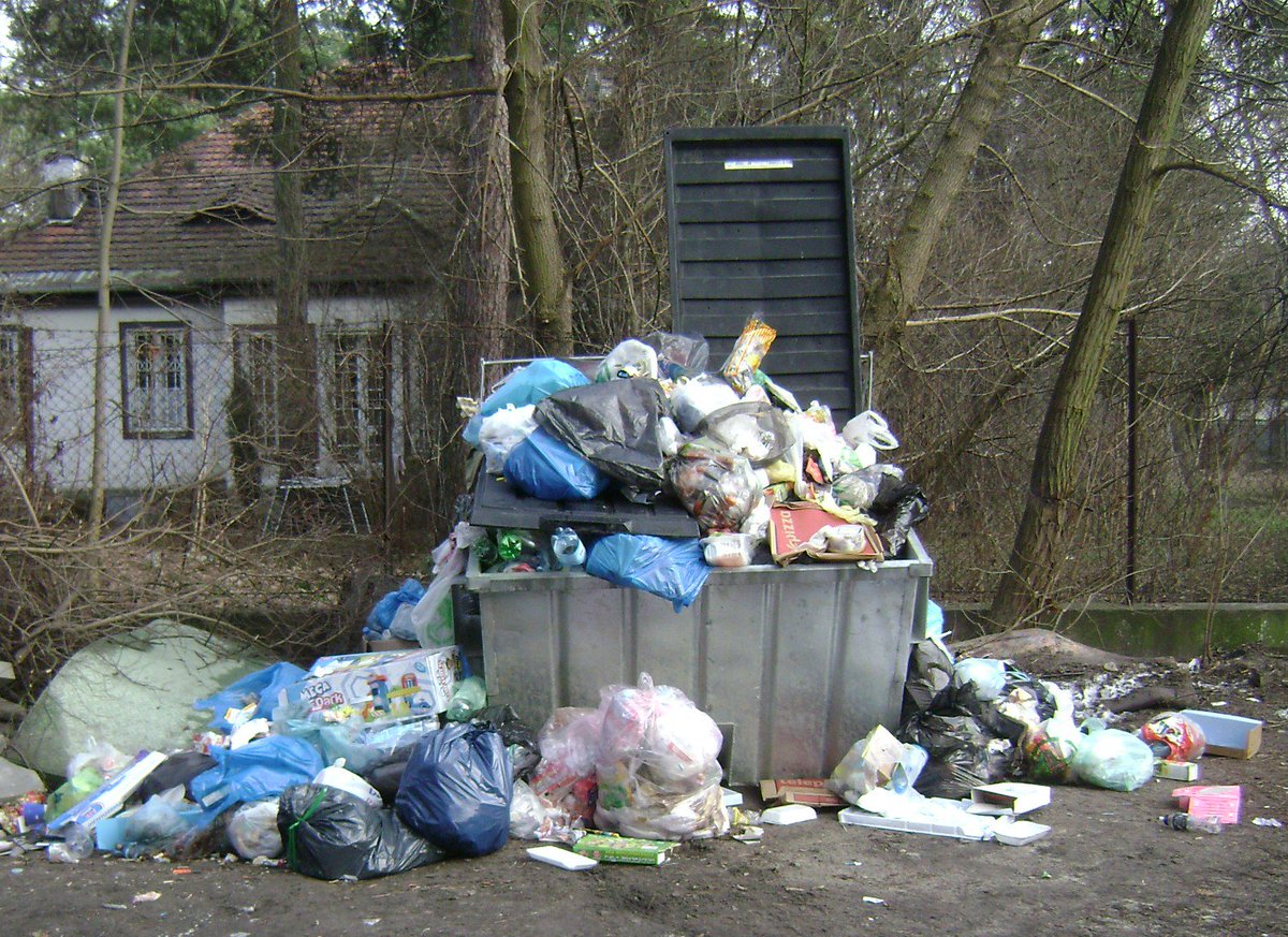 USAvsGranada's tweet photo. USA Trash vs Graná Basura https://t.co/Kfjkqg8dzp