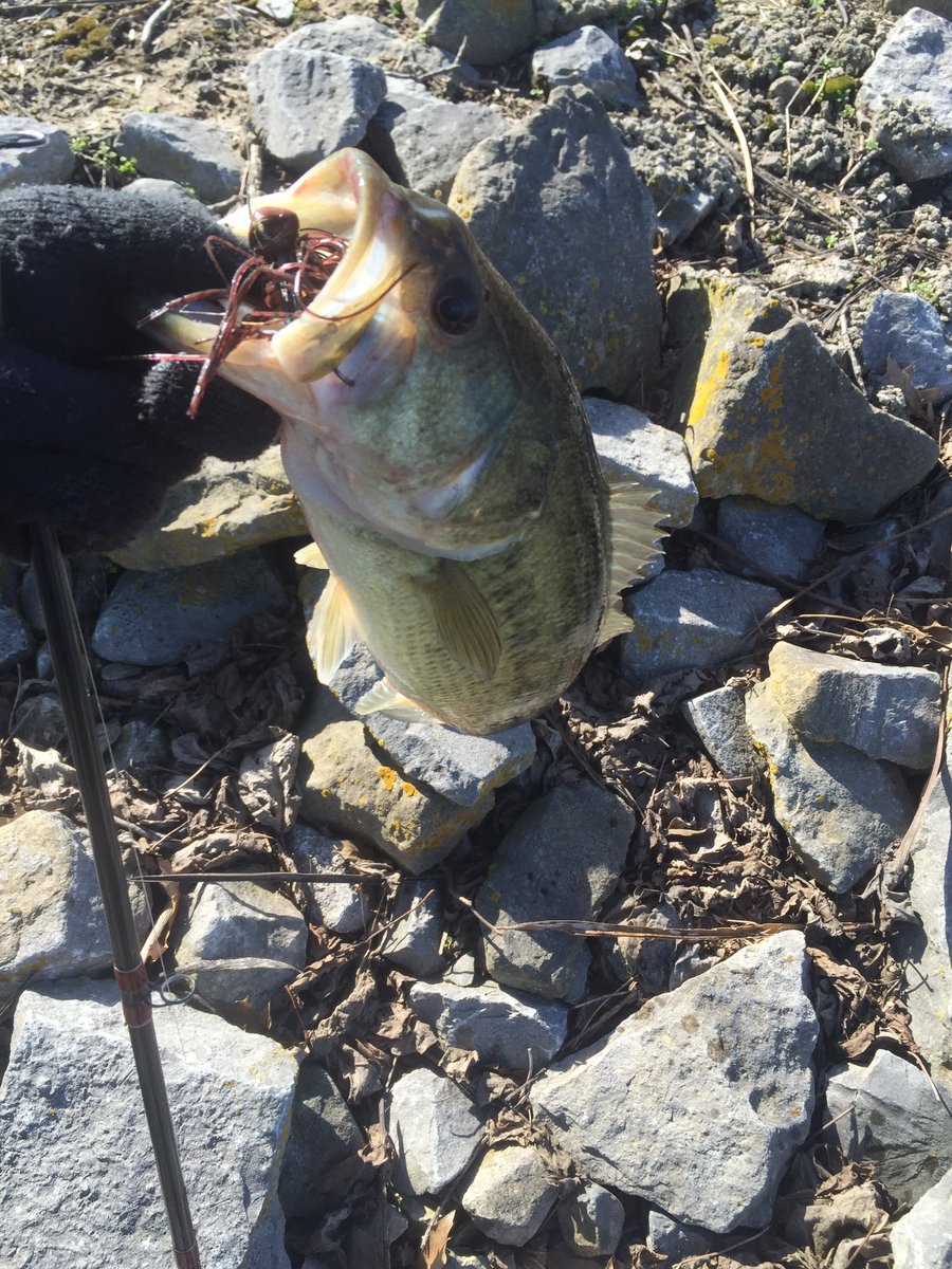 amstack18's tweet image. Tried @LiquidMayhem_ for the first time today. Never had such vicious jig bites in cold water. Won't ever fish without it again!