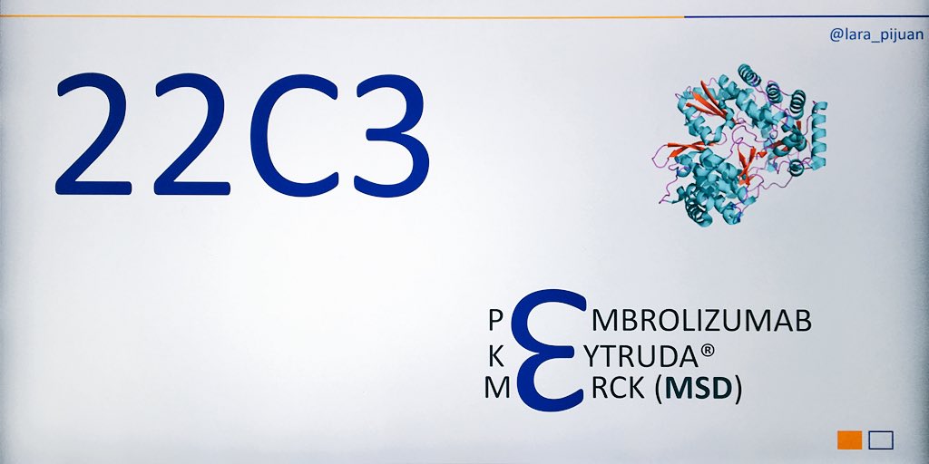 lara_pijuan's tweet photo. #pulmpath #pathboards #NSCLC #SP142 #SP263 #22C3 #288 #PDL1 #immunotherapy #atezolizumab #nivolumab #pembrolizumab #durvalumab #pathologists https://t.co/vJFF91hncg