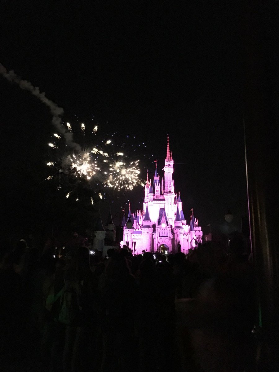 Goodbye Wishes :( magicofdisneyparks.wordpress.com/2017/03/04/goo…