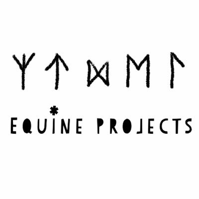 EquineProjects's tweet image. #NewProfilePic
