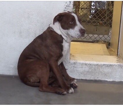 Gini Hamilton (@gini_hamilton) | Twitter