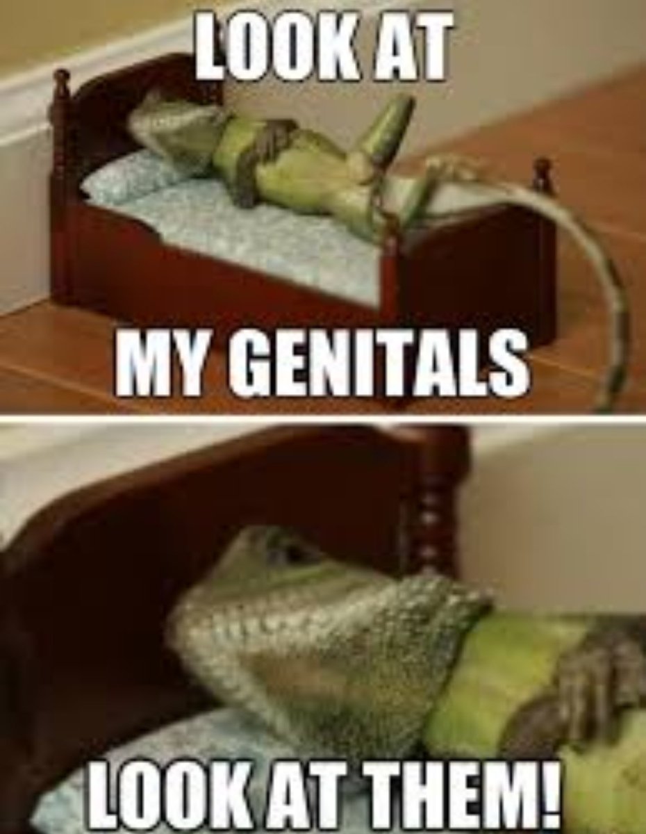 College dating pretty much summed up