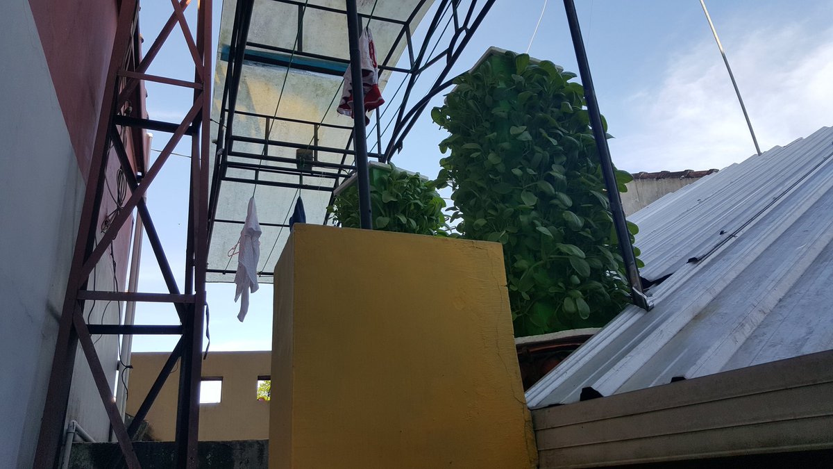 bwangiberkebun's tweet photo. Selamat pagi.....ayo mbuat Taman di Jemuran @dpubmcktr_bwi @banyuwangi_kab @IDberkebun @a_azwarnas https://t.co/r285T0K3Zx