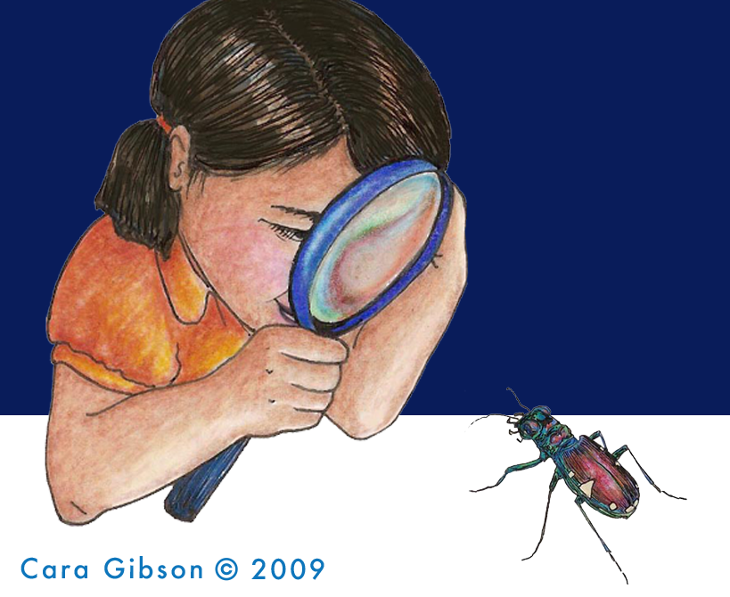 CaraGraphic's tweet photo. "Vintage" #sciart I did for the old https://t.co/xGujAP3ofd site and then more recently... #STEM #insects #entomoart #SciArtTweetstorm https://t.co/cYLPebx1Hw