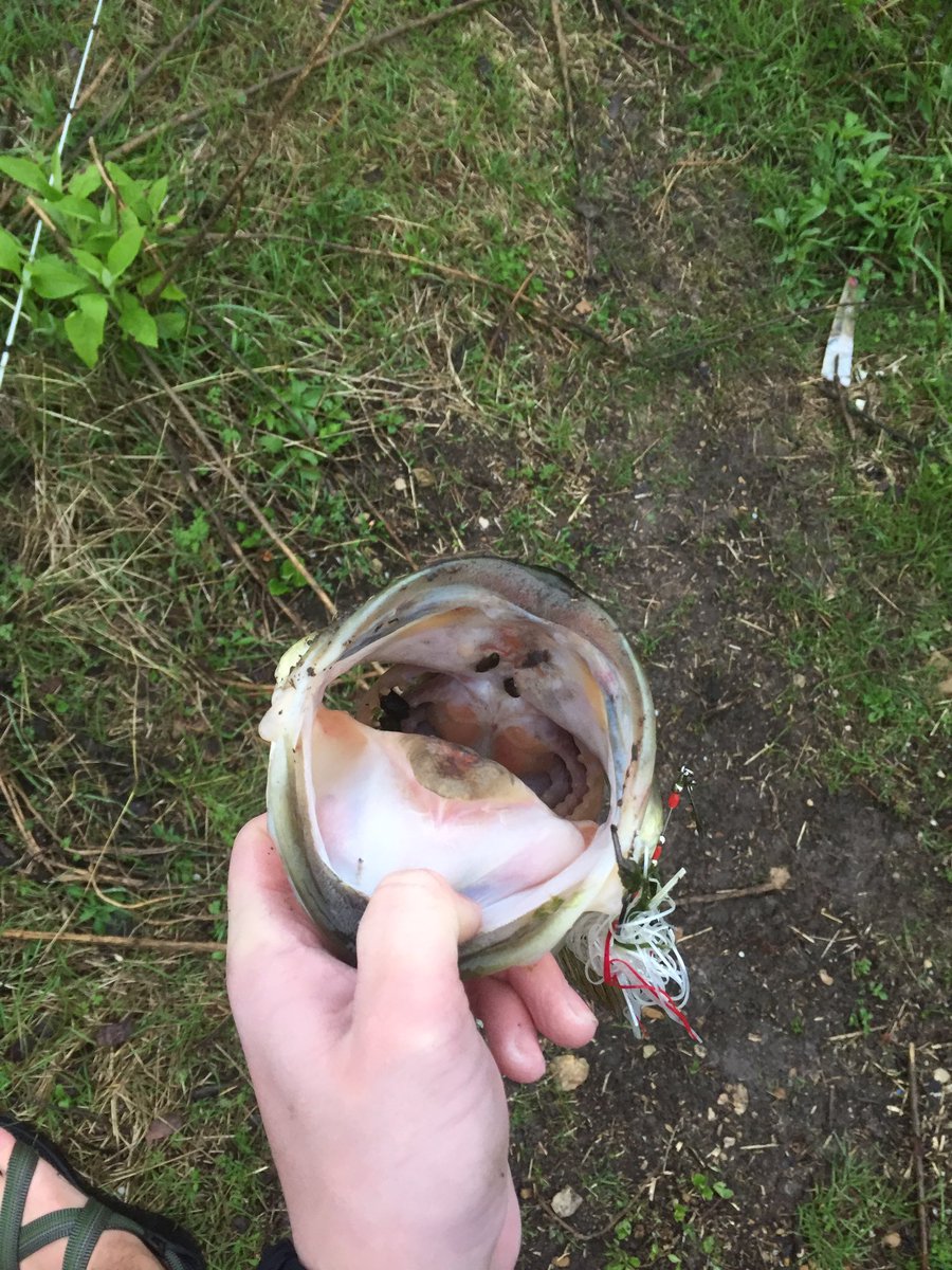 TXBassLife's tweet photo. 9 bass today, including a new PB! @Texashunter11 🎣 https://t.co/Se2q5Tiu0q