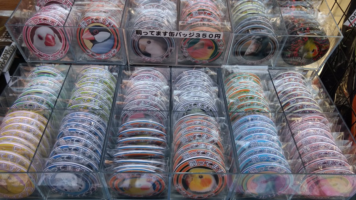 ロワパ 花屋 ロワテオ ことりカフェ巣鴨店 で開催の 鳥フェス巣鴨 本日は10時より17時まで開催です 今日もインコサミットは寒い屋外で頑張ってます お待ちしてまーす O 鳥フェス インコサミット ロワ T Co I02gmnqhnh Twitter