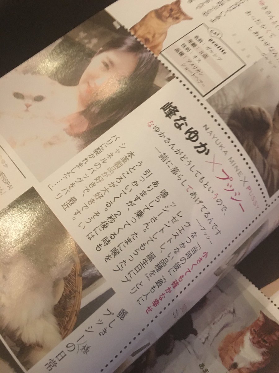 発売中のInRedの猫特集にてプッシーさんといっしょに載ってまーす♡ みてね! 