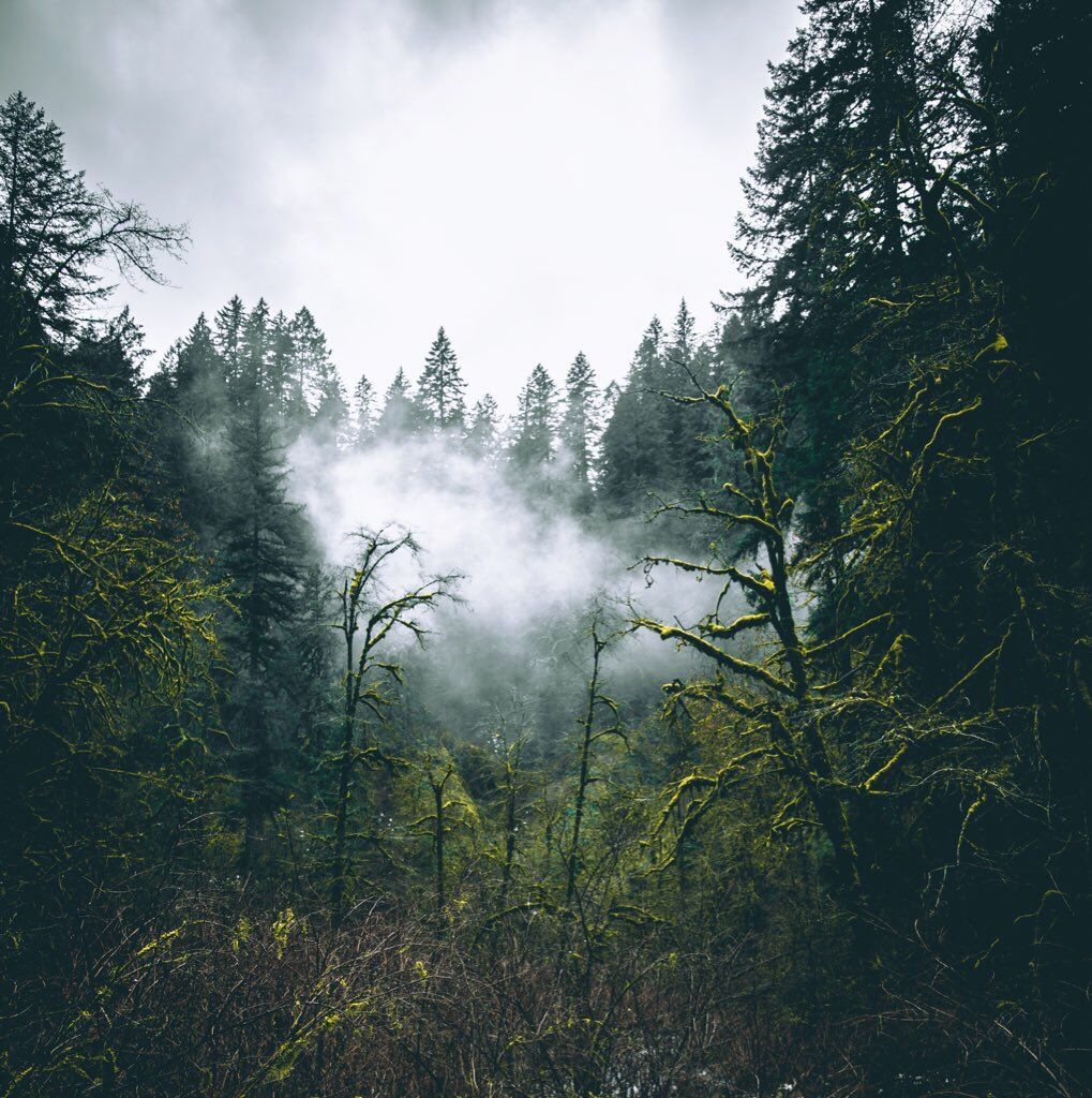 rybotics's tweet photo. Dripping in Silence 🌬 https://t.co/4jsP7Gy6r4