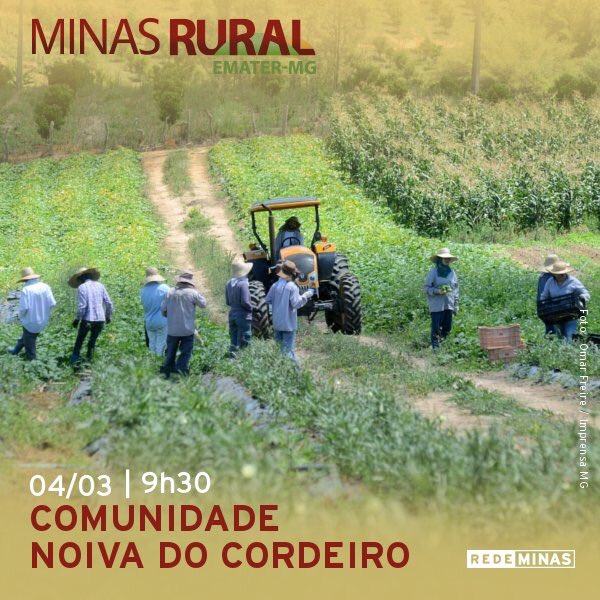 Noiva do Cordeiro no <a href="/redeminas/">Rede Minas</a>