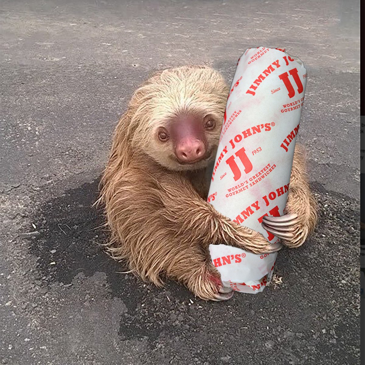 jimmyjohns's tweet photo. When I get a sub after the bars and realize I’m still alive https://t.co/o32yg8QT8F