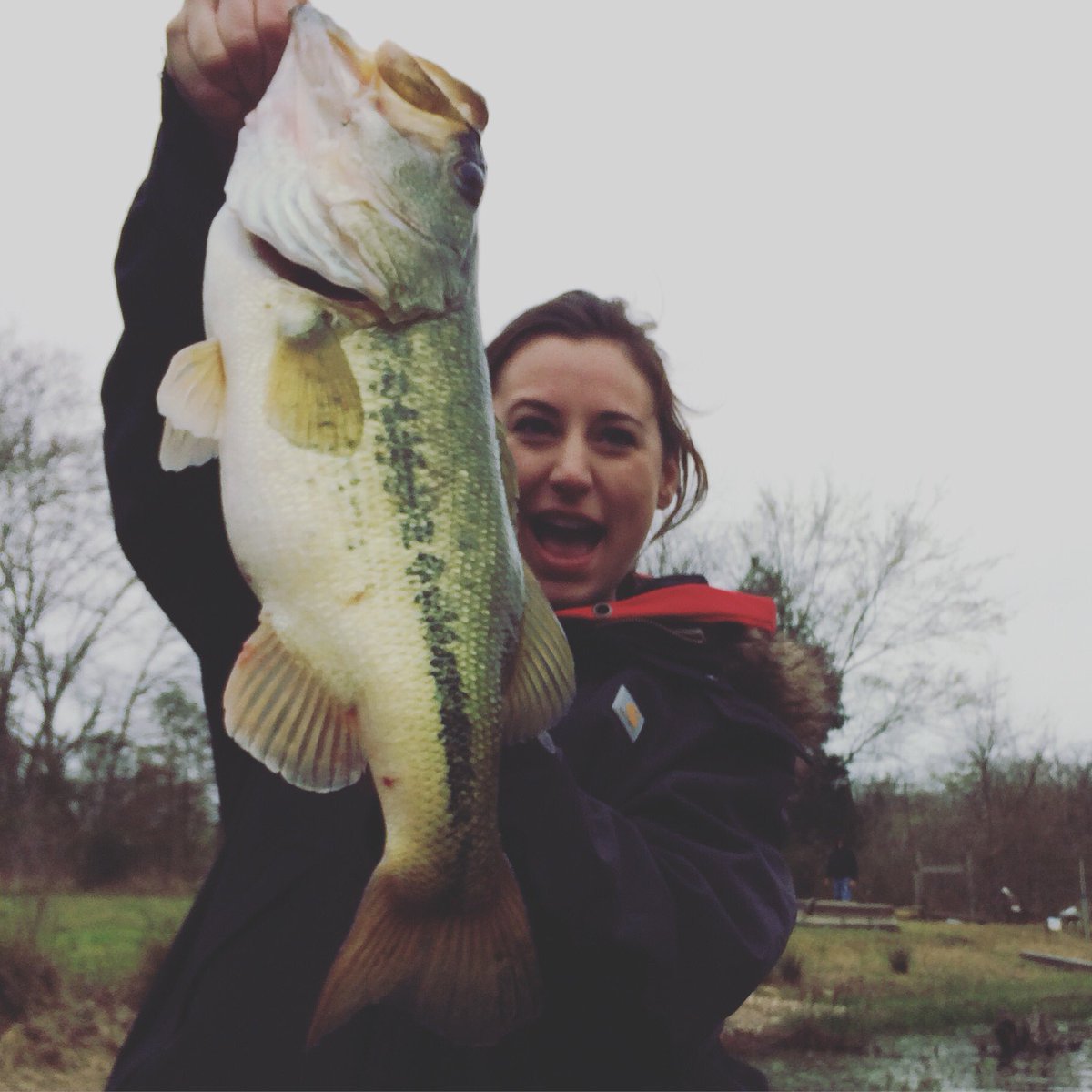 YourLakeForkGyd's tweet photo. Just another east tx bass day where a personal best never stood a chance! #yourlakeforkguide #lakefork #lftlures #skeeterboats https://t.co/6JskeSTn5M
