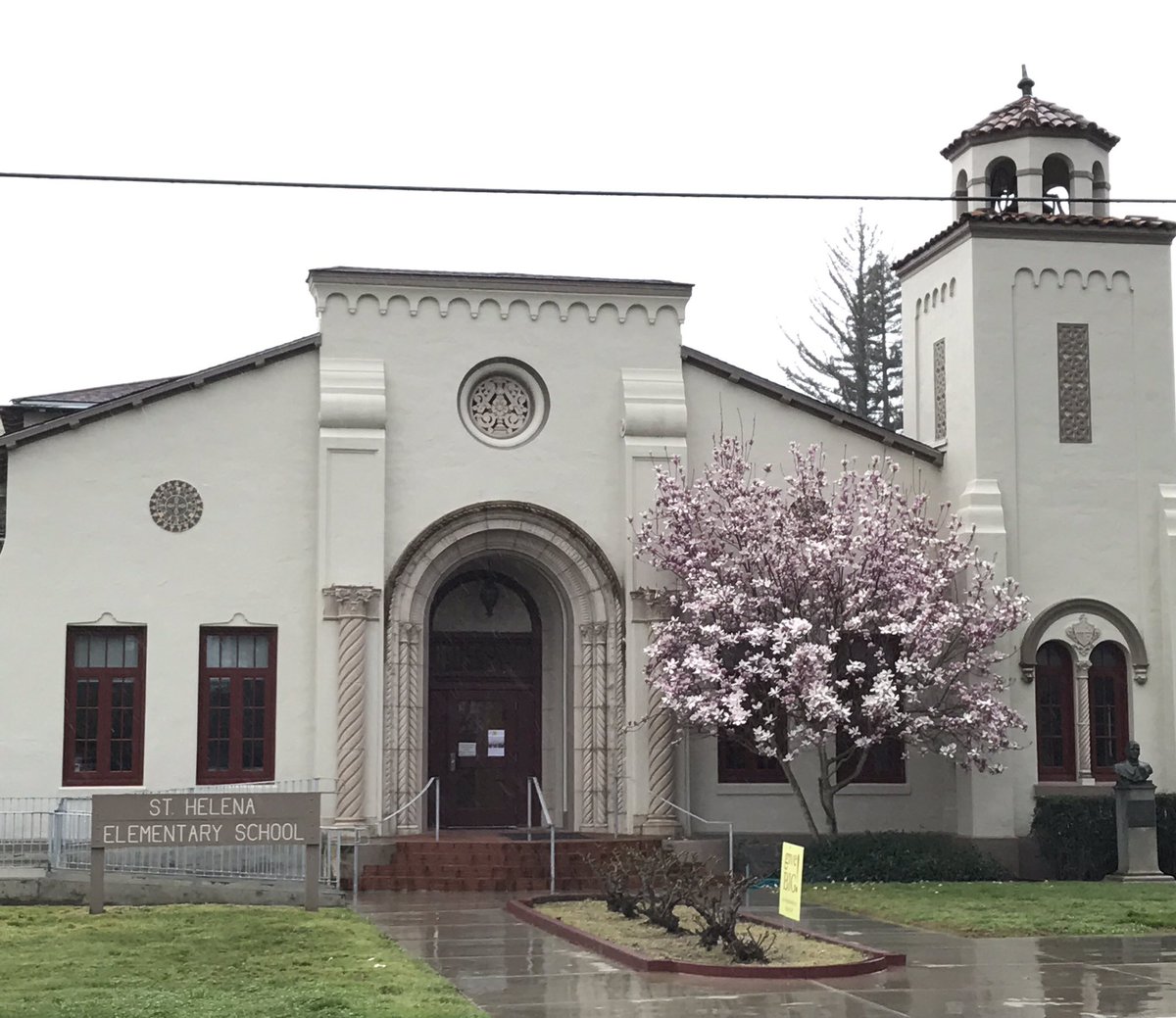 Terilynn Buchanan tweet media