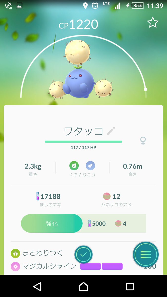 Tricra3 A Twitter やっとポポッコからワタッコに進化できた Pokemongo ポケモンgo ポポッコ ワタッコ