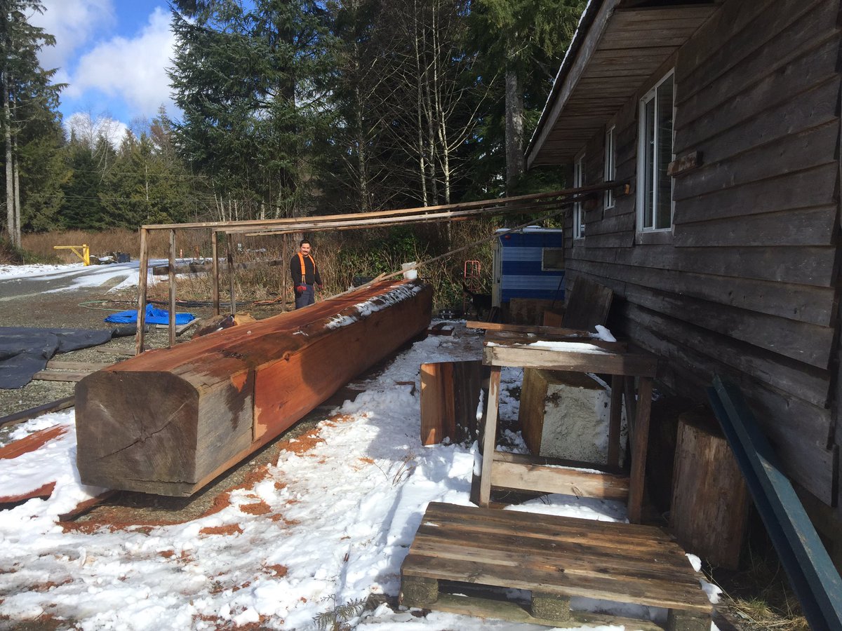 Toquaht carver Andy Mack prepping to carve a totem pole for our potlatch this fall.